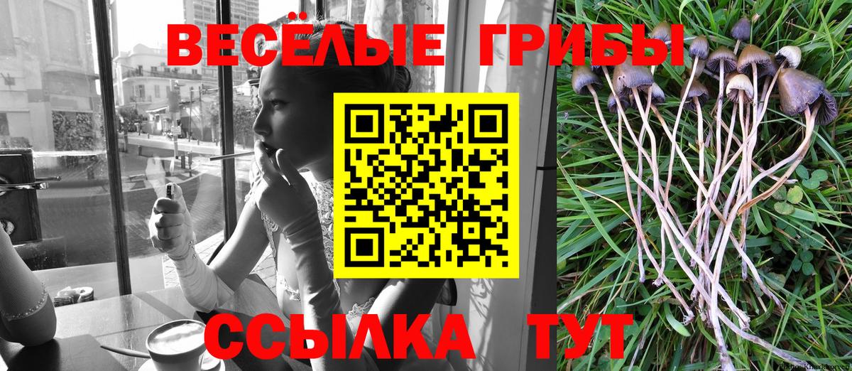 Псилоцибиновые грибы GOLDEN TEACHER Ливны