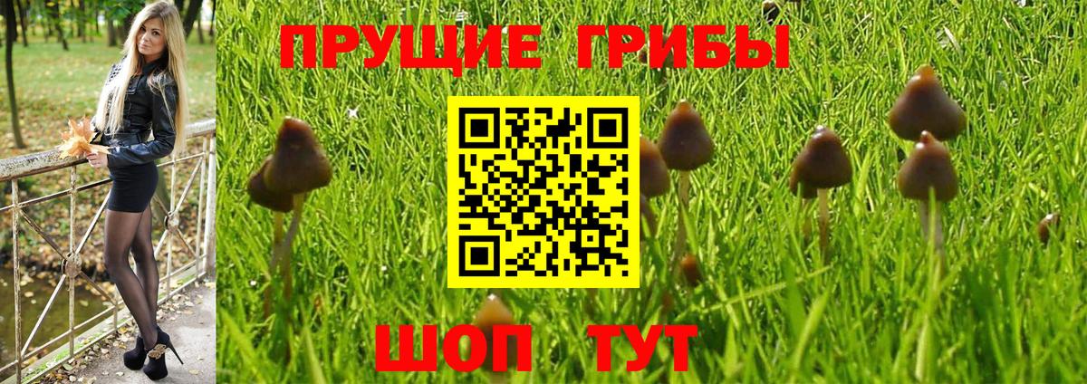 Галлюциногенные грибы мицелий  Вход с VPN  Ливны 
